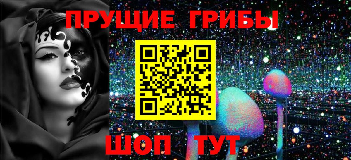 Красный Сулин  дарнет шоп  Вход с VPN  Псилоцибиновые грибы Psilocybine cubensis 